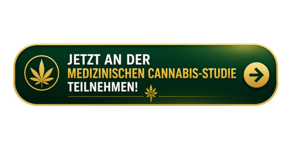 Umfrage Studie call to action